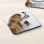 無頓着なチャールズ王スパニエル犬 コースター (左側)