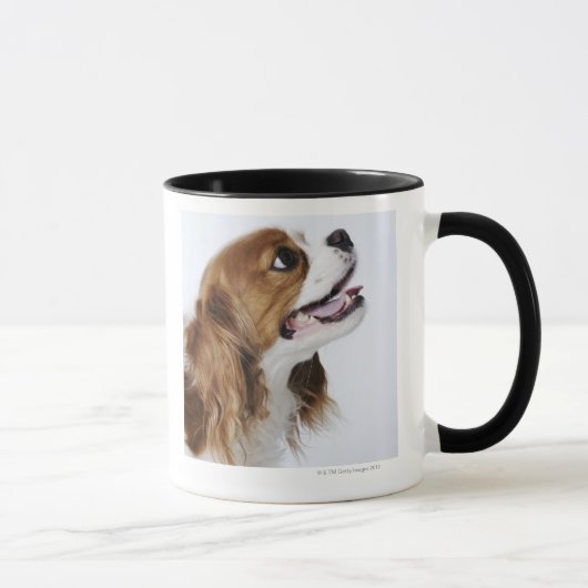 無頓着なチャールズ王スパニエル犬、側面図 マグカップ (右)