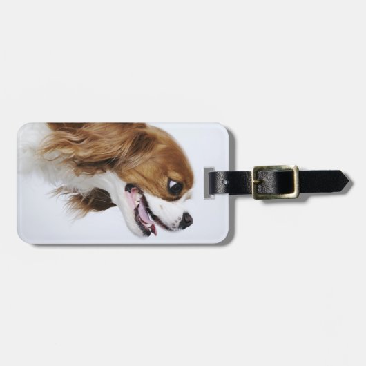 無頓着なチャールズ王スパニエル犬、側面図 ラゲッジタグ (正面横)