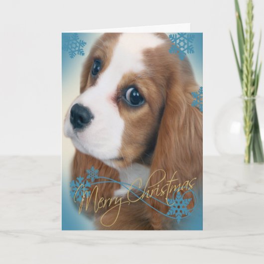 無頓着なチャールズChristmas王の挨拶状 シーズンカード (正面)