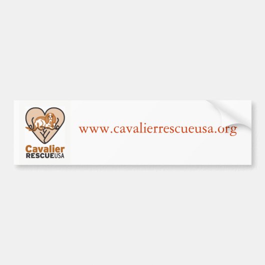 無頓着なバンパーステッカー バンパーステッカー (正面)