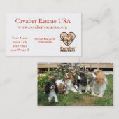 無頓着な救助は外で後をつけます 名刺 (正面/裏面)