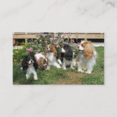 無頓着な救助は外で後をつけます 名刺 (裏面)