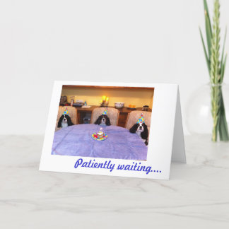 無頓着な誕生日の願い カード