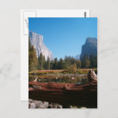 無題のはがき ポストカード (正面/裏面)