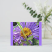 無題のアスター番号1 ポストカード (スタンド正面)