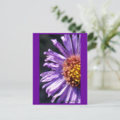 無題のアスター番号4 ポストカード (スタンド正面)