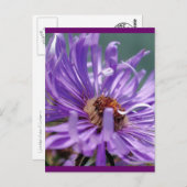 無題のマスター番号11 ポストカード (正面/裏面)