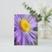 無題のマスター番号5 ポストカード (スタンド正面)