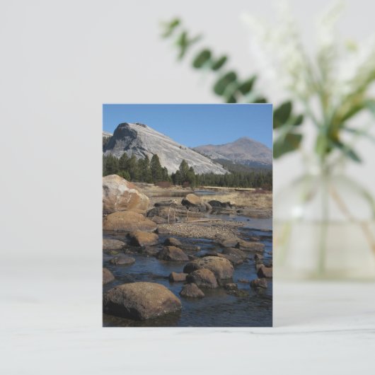 無題はがき ポストカード (スタンド正面)