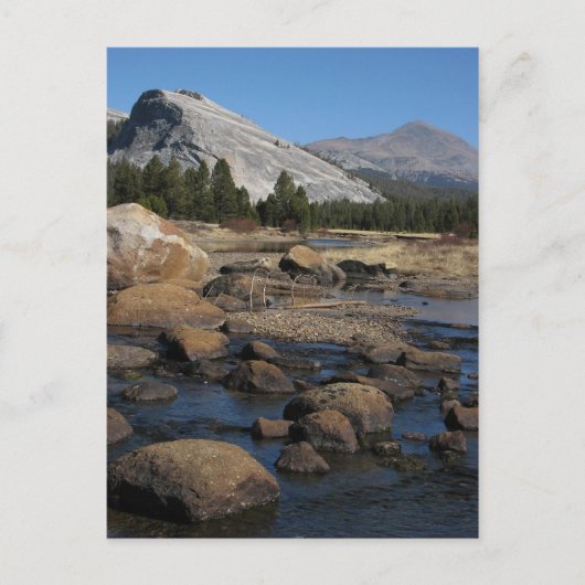 無題はがき ポストカード (正面)