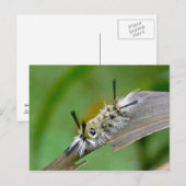 無題はがき ポストカード (正面/裏面)