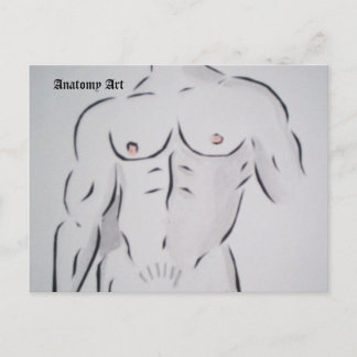 無題はがき ポストカード