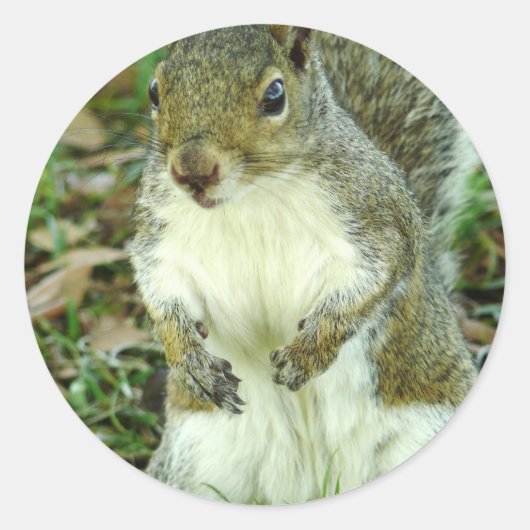 無題ステッカー ラウンドシール (正面)