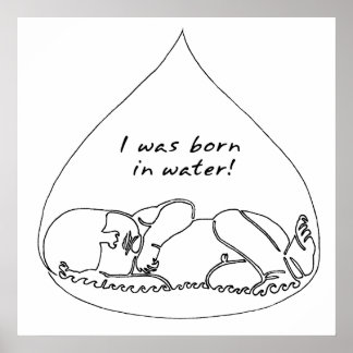 無題ポスター ポスター