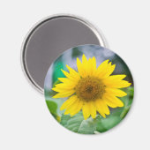 無題マグネット マグネット (正面/裏面)