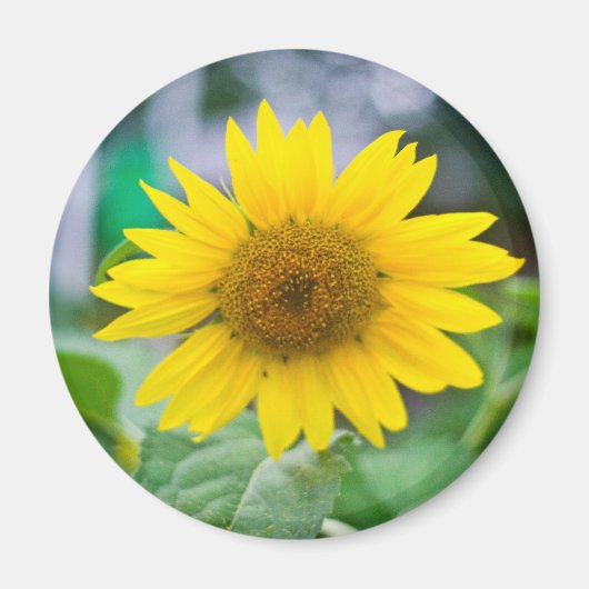 無題マグネット マグネット (正面)