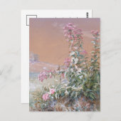 無題 | フィデリアブリッジ ポストカード (正面/裏面)