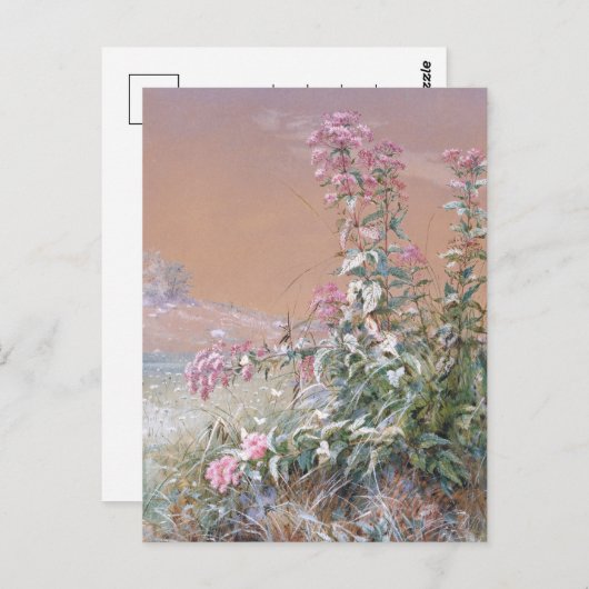 無題 | フィデリアブリッジ ポストカード (正面/裏面)