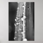 無題 ポスター (正面)