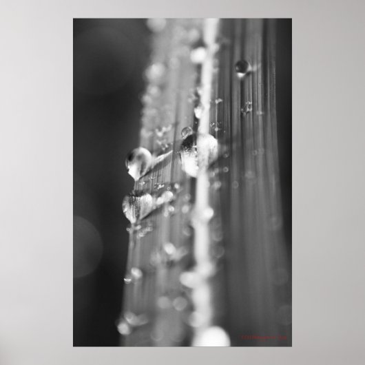 無題 ポスター (正面)