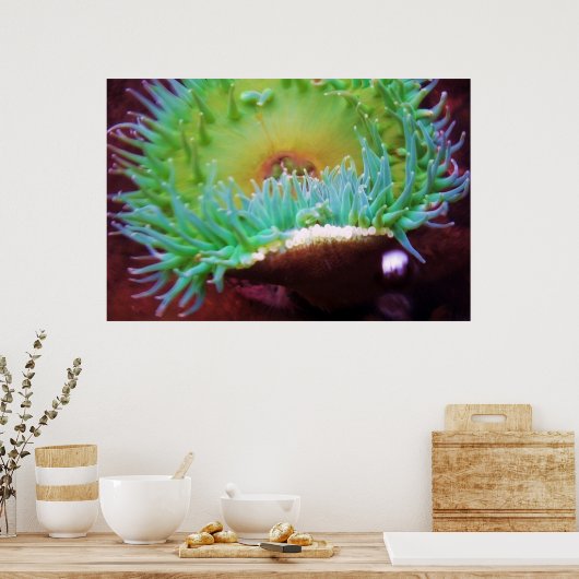 無題 ポスター (キッチン)