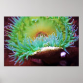 無題 ポスター (正面)