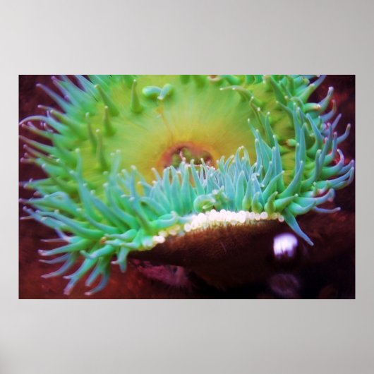 無題 ポスター (正面)