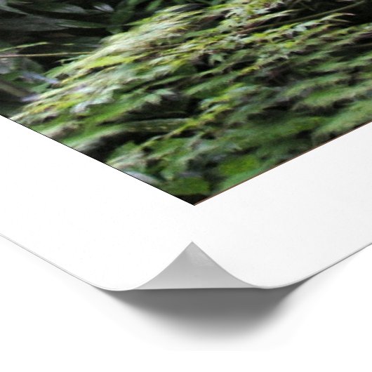 無題 ポスター (角)