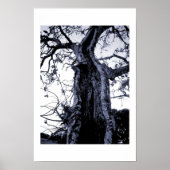 無題 ポスター (正面)