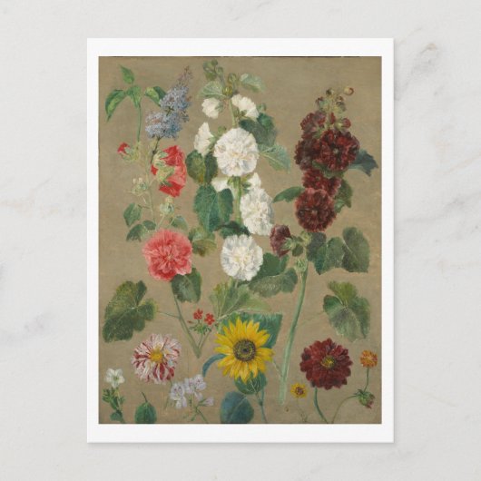 無題（花） (油ボード) ポストカード (正面)