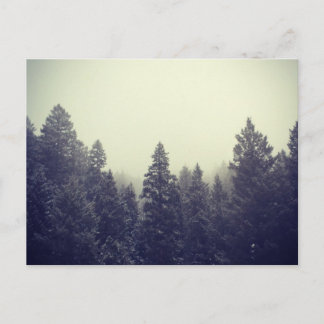 無題III ポストカード