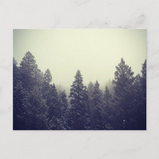 無題III ポストカード (正面)