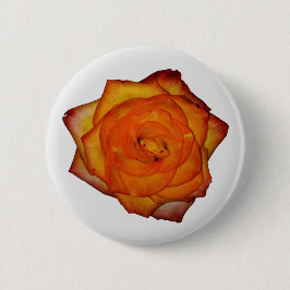 焦げたオレンジ色のバラボタン 缶バッジ
