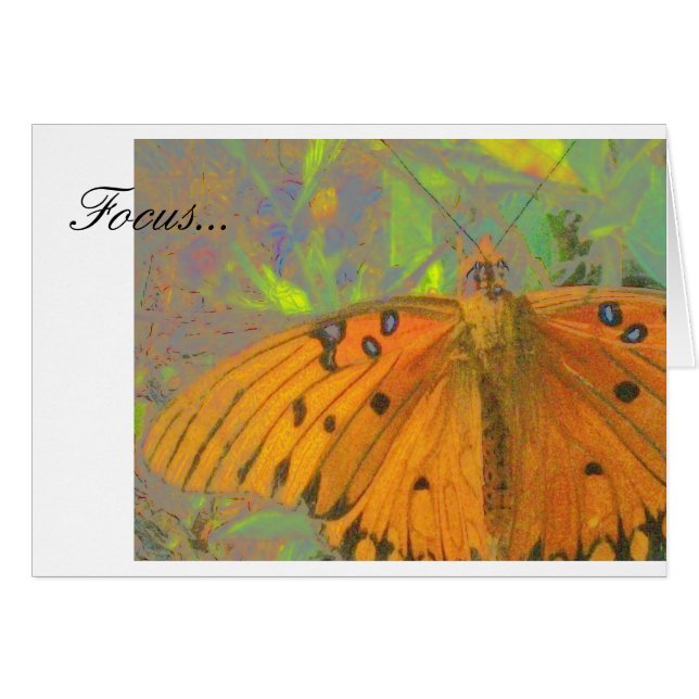 焦点の蝶 (正面横)