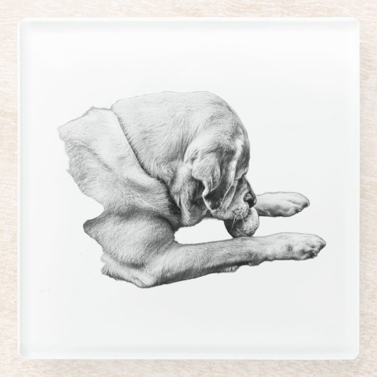 焦点を合わせ遊る ガラスコースター (正面)