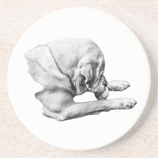 焦点を合わせ遊る コースター (正面)