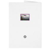 焦点明るい赤紫色の欠如 (裏面)