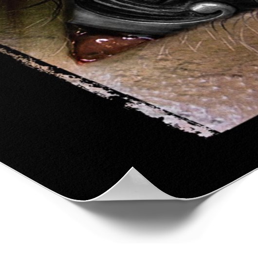 焦点 ポスター (角)