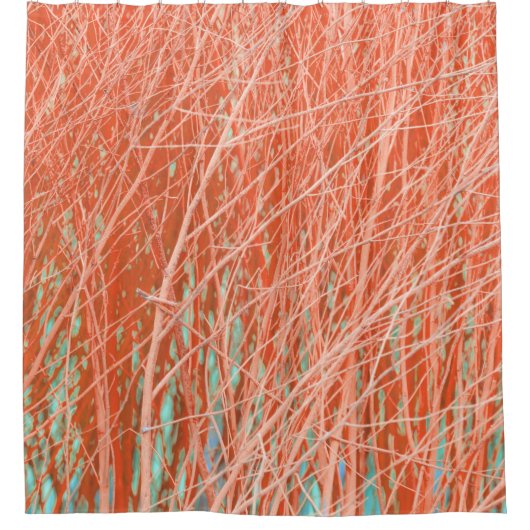 焼きオレンジモダンの写真コンテンポラリー抽象芸術 シャワーカーテン (正面)