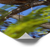 焼き肉のポスター ポスター (角)