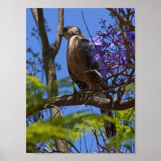 焼き肉のポスター ポスター (正面)