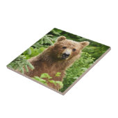 焼き色のクマの陶器の瓦 タイル (側面)