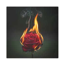 焼けるバラは意味が込められている メタルプリント