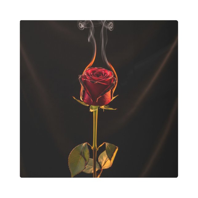 焼けるバラは意味が込められている メタルプリント (正面)