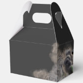 焼けコールドロンハロウィーンを持つ魔女 フェイバーボックス (裏面)