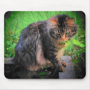 煉瓦のメインのあらいぐま猫 マウスパッド
