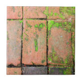 煉瓦通路 タイル (正面)