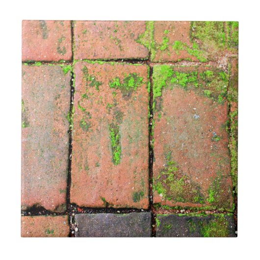 煉瓦通路 タイル (正面)