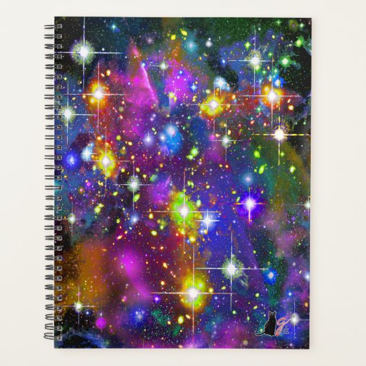 煌めく星空 プランナー手帳 (正面)
